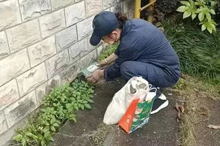 DƬ